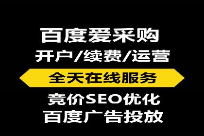 SEM投放策略：成功案例解析